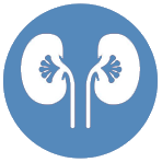 Marcadores de Daño Renal
